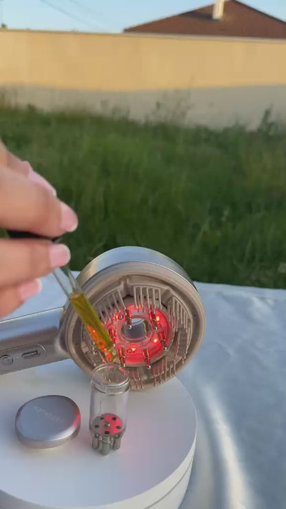 Brosse LED Soléya | Stimulation & Croissance